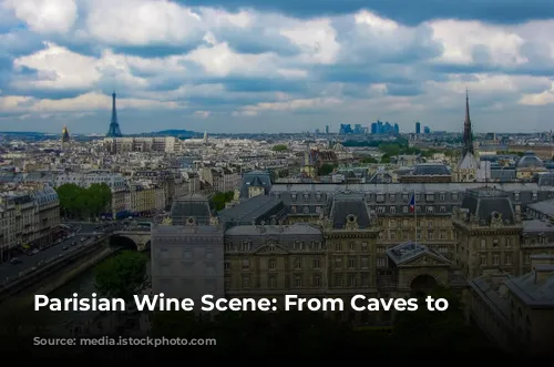  Parisian Wine Scene: From Caves to Neo-Bistros 