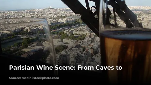  Parisian Wine Scene: From Caves to Neo-Bistros 