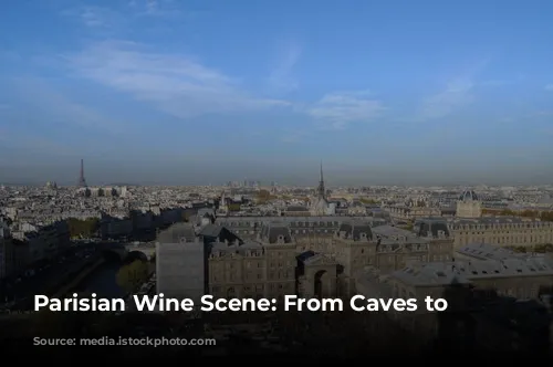  Parisian Wine Scene: From Caves to Neo-Bistros 