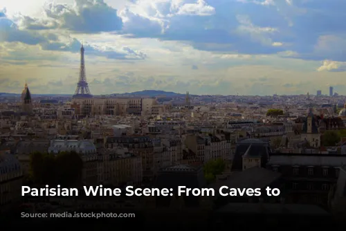  Parisian Wine Scene: From Caves to Neo-Bistros 