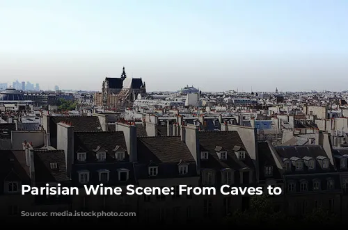  Parisian Wine Scene: From Caves to Neo-Bistros 