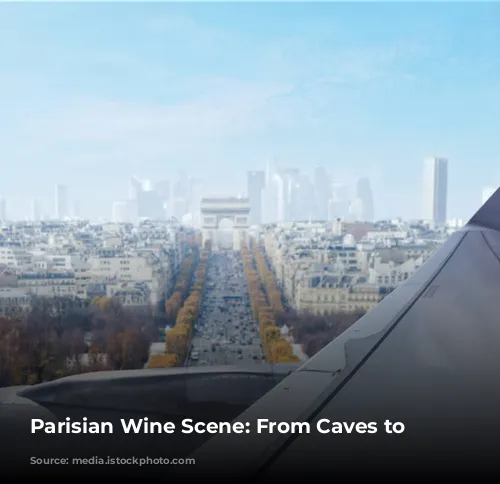  Parisian Wine Scene: From Caves to Neo-Bistros 