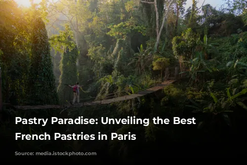 Pastry Paradise: Unveiling the Best Classic French Pastries in Paris