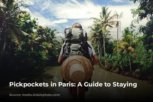 Pickpockets in Paris: A Guide to Staying Safe