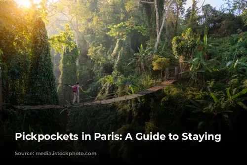 Pickpockets in Paris: A Guide to Staying Safe