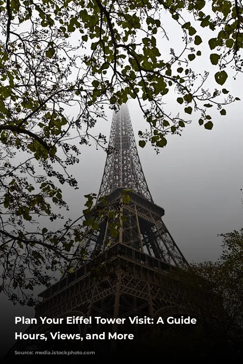 Plan Your Eiffel Tower Visit: A Guide to Hours, Views, and More