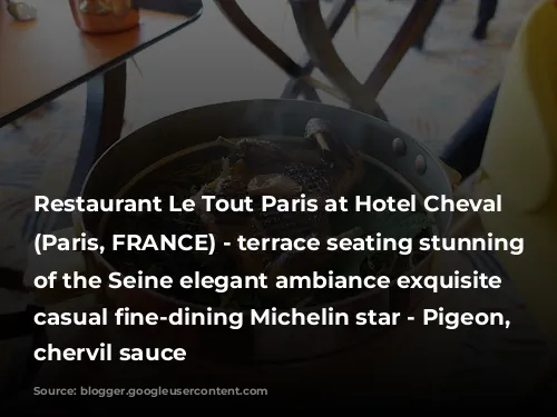 Restaurant Le Tout Paris at Hotel Cheval Blanc (Paris, FRANCE) - terrace seating stunning views of the Seine elegant ambiance exquisite elevated casual fine-dining Michelin star - Pigeon, tarragon, chervil sauce