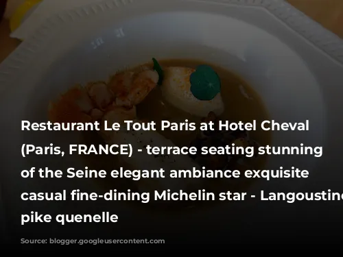 Restaurant Le Tout Paris at Hotel Cheval Blanc (Paris, FRANCE) - terrace seating stunning views of the Seine elegant ambiance exquisite elevated casual fine-dining Michelin star - Langoustine, chanterelles, pike quenelle