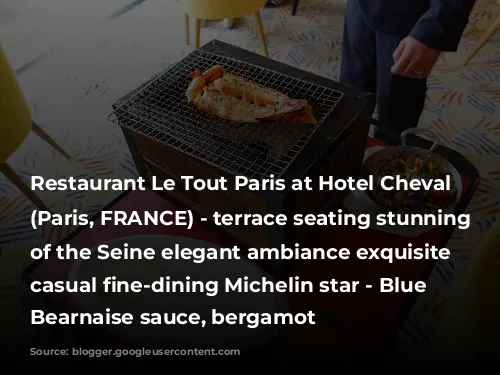 Restaurant Le Tout Paris at Hotel Cheval Blanc (Paris, FRANCE) - terrace seating stunning views of the Seine elegant ambiance exquisite elevated casual fine-dining Michelin star - Blue lobster, Bearnaise sauce, bergamot