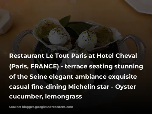 Restaurant Le Tout Paris at Hotel Cheval Blanc (Paris, FRANCE) - terrace seating stunning views of the Seine elegant ambiance exquisite elevated casual fine-dining Michelin star - Oyster N°3, cucumber, lemongrass