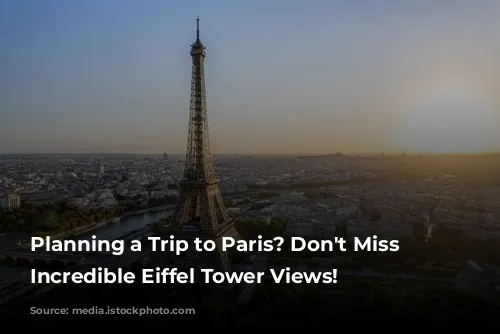 Planning a Trip to Paris? Don't Miss These Incredible Eiffel Tower Views!