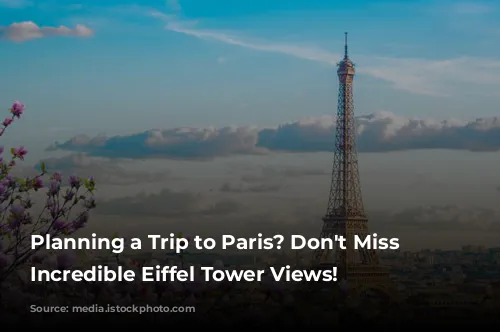 Planning a Trip to Paris? Don't Miss These Incredible Eiffel Tower Views!