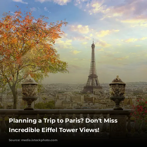 Planning a Trip to Paris? Don't Miss These Incredible Eiffel Tower Views!