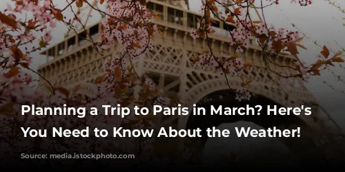 Planning a Trip to Paris in March? Here's What You Need to Know About the Weather!