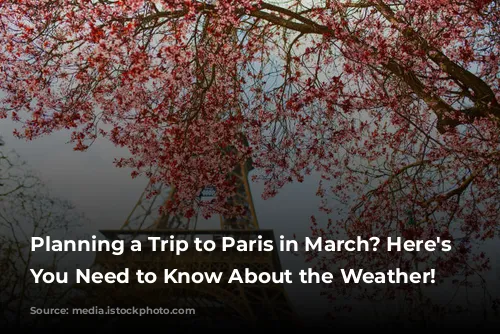 Planning a Trip to Paris in March? Here's What You Need to Know About the Weather!