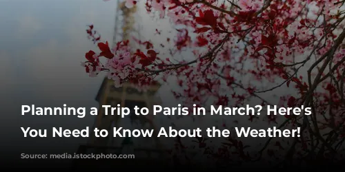 Planning a Trip to Paris in March? Here's What You Need to Know About the Weather!