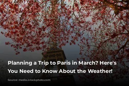 Planning a Trip to Paris in March? Here's What You Need to Know About the Weather!