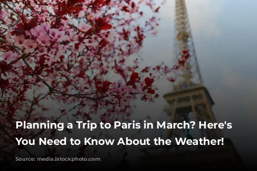 Planning a Trip to Paris in March? Here's What You Need to Know About the Weather!