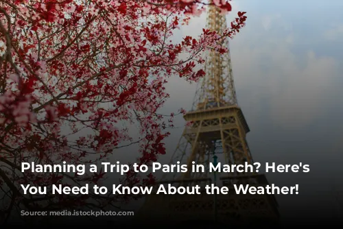 Planning a Trip to Paris in March? Here's What You Need to Know About the Weather!