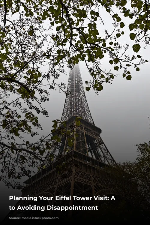 Planning Your Eiffel Tower Visit:  A Guide to Avoiding Disappointment