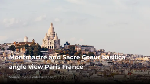 Montmartre and Sacre Coeur basilica high angle view Paris France