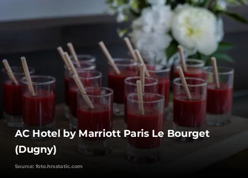 AC Hotel by Marriott Paris Le Bourget Airport (Dugny)