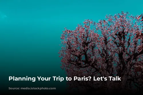 Planning Your Trip to Paris? Let's Talk Weather!