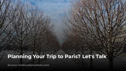 Planning Your Trip to Paris? Let's Talk Weather!