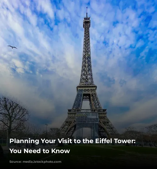 Planning Your Visit to the Eiffel Tower:  What You Need to Know