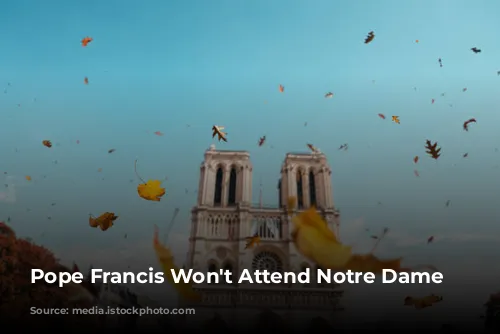 Pope Francis Won't Attend Notre Dame Reopening