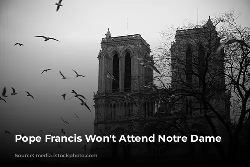 Pope Francis Won't Attend Notre Dame Reopening