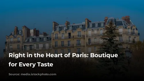 Right in the Heart of Paris: Boutique Hotels for Every Taste