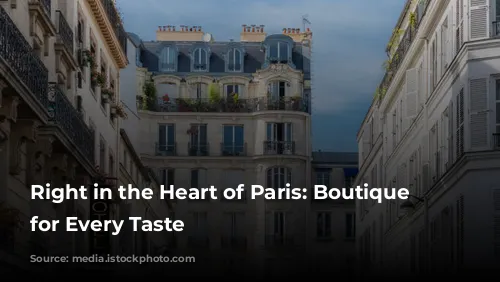 Right in the Heart of Paris: Boutique Hotels for Every Taste