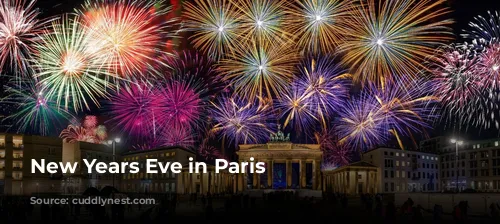 New Years Eve in Paris