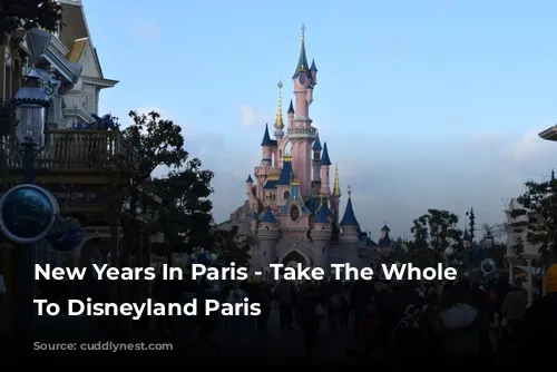 New Years In Paris - Take The Whole Family To Disneyland Paris