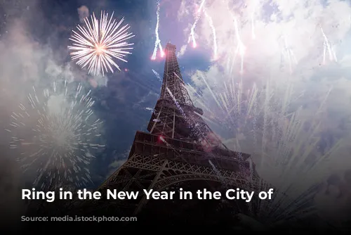 Ring in the New Year in the City of Lights!