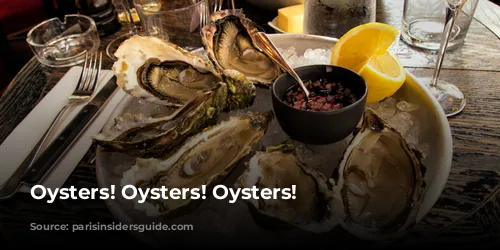 Oysters! Oysters! Oysters!