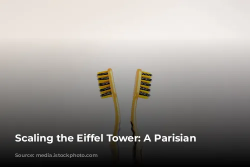 Scaling the Eiffel Tower: A Parisian Adventure