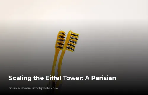 Scaling the Eiffel Tower: A Parisian Adventure