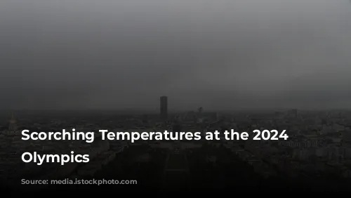 Scorching Temperatures at the 2024 Paris Olympics