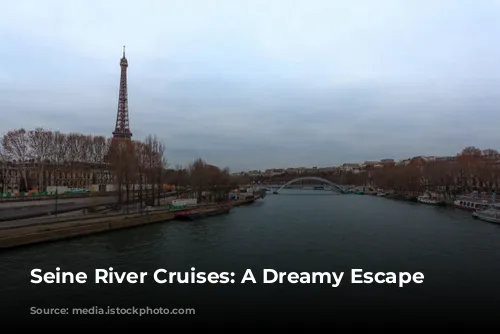 Seine River Cruises: A Dreamy Escape