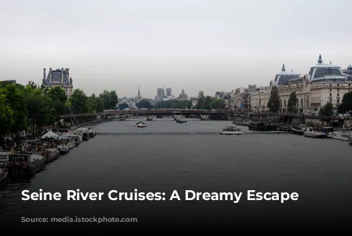 Seine River Cruises: A Dreamy Escape