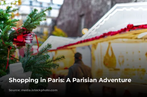 Shopping in Paris: A Parisian Adventure Awaits!