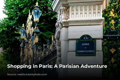 Shopping in Paris: A Parisian Adventure Awaits!