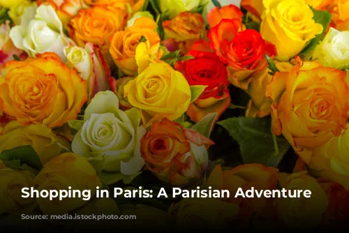 Shopping in Paris: A Parisian Adventure Awaits!