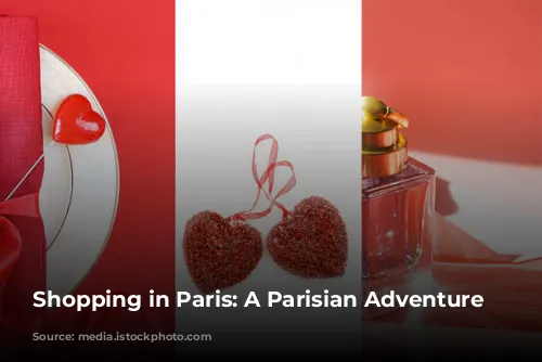 Shopping in Paris: A Parisian Adventure Awaits!