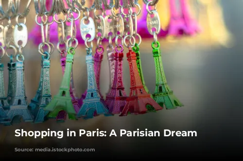 Shopping in Paris: A Parisian Dream 🛍️