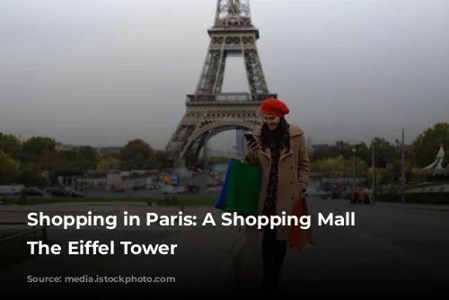 Shopping in Paris: A Shopping Mall Near The Eiffel Tower