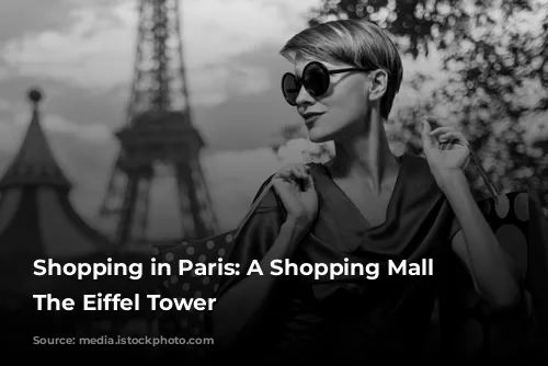 Shopping in Paris: A Shopping Mall Near The Eiffel Tower