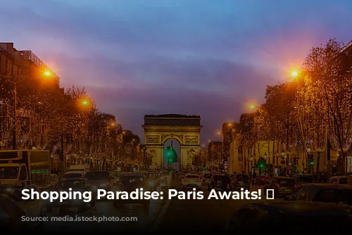 Shopping Paradise: Paris Awaits! 🛍️